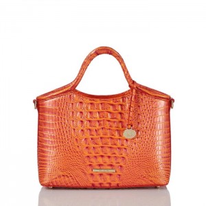 Women's Brahmin Small Elaine Crossbody Bags Orange | PYAL1640