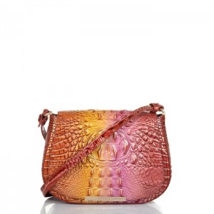 Women's Brahmin Small Nadine Crossbody Bags Glam Ombre Melbourne | NSUR1480