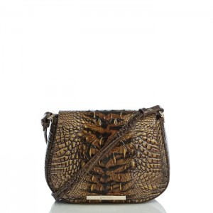 Women's Brahmin Small Nadine Crossbody Bags Instinct Ombre Melbourne | FWNC9113