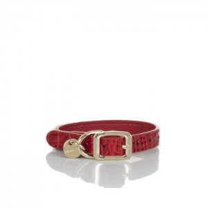 Women's Brahmin Small Pet Collar Pet Accessories Carnation Melbourne | PTCY6087