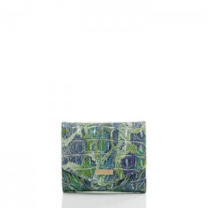 Women's Brahmin Small Veronica Wallets Green | CVLH8016