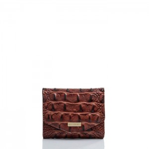 Women's Brahmin Small Veronica Wallets Pecan Melbourne | TWQR9075