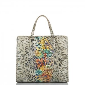 Women's Brahmin Tia Tote Bags Obsession Ombre Melbourne | ANZY4880