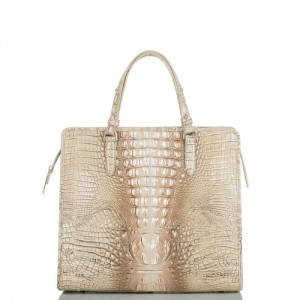 Women's Brahmin Tia Tote Bags Scallop Ombre Melbourne | YGUJ8447