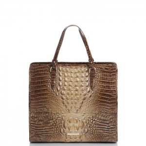 Women's Brahmin Tia Tote Bags Teak Ombre Melbourne | GYFJ0027