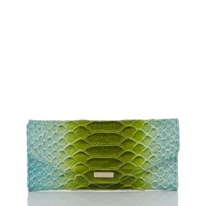 Women's Brahmin Veronica Wallets Limeade Rivers | UIZK7621