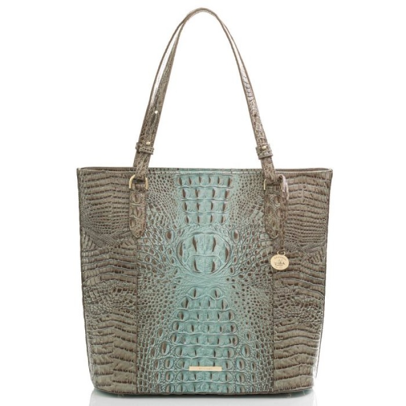 Women\'s Brahmin Abigail Tote Bags Bluebell Ombre Melbourne | RDYV5037