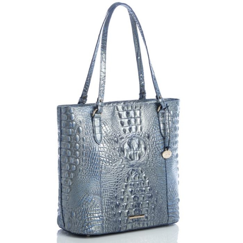 Women's Brahmin Abigail Tote Bags Serenity Ombre Melbourne | MFGL1516