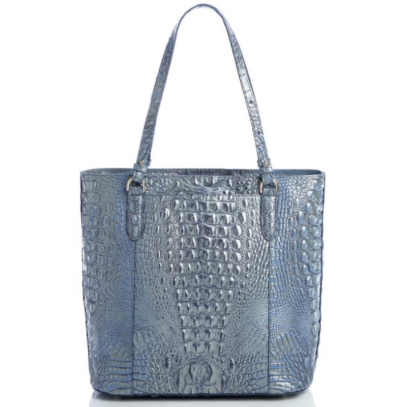 Women's Brahmin Abigail Tote Bags Serenity Ombre Melbourne | MFGL1516