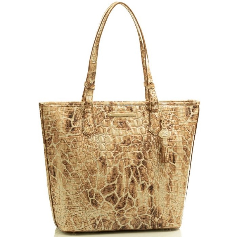 Women's Brahmin Asher Tote Bags Melbourne | HURI4136