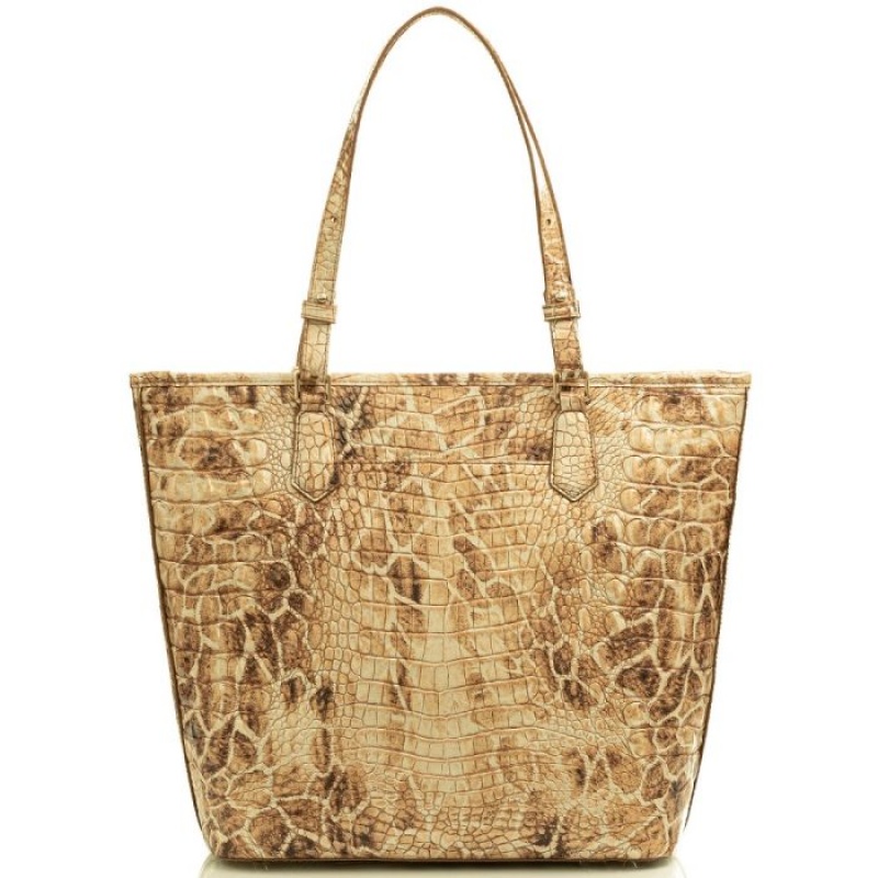 Women's Brahmin Asher Tote Bags Melbourne | HURI4136