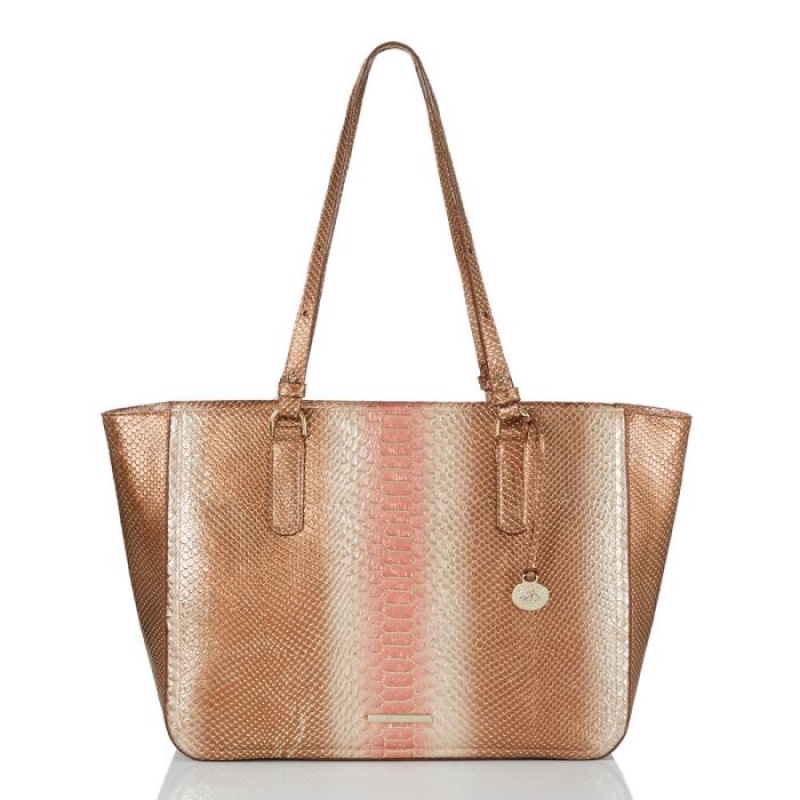 Women\'s Brahmin Ashlee Tote Bags Beige | BKKD4536