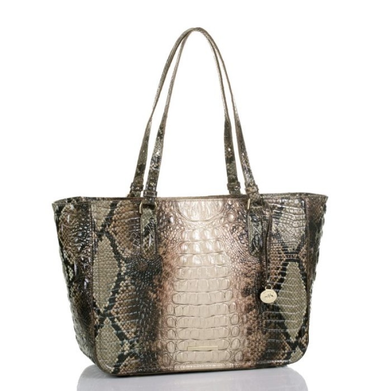 Women's Brahmin Ashlee Tote Bags Diamondback Ombre Melbourne | RPEG8385