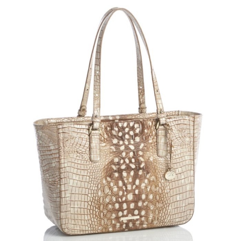 Women's Brahmin Ashlee Tote Bags Doe Ombre Melbourne | UBCQ1827