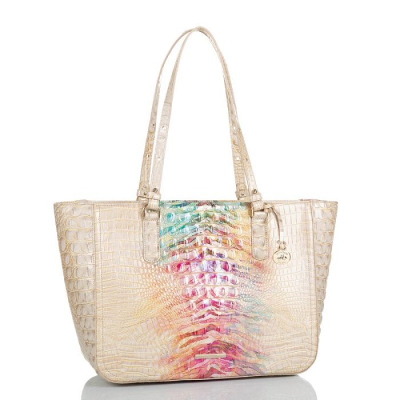 Women's Brahmin Ashlee Tote Bags Entice Ombre Melbourne | TOWR1105