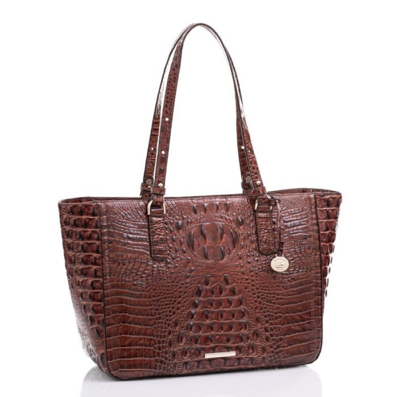 Women's Brahmin Ashlee Tote Bags Pecan Melbourne | GWGY6392