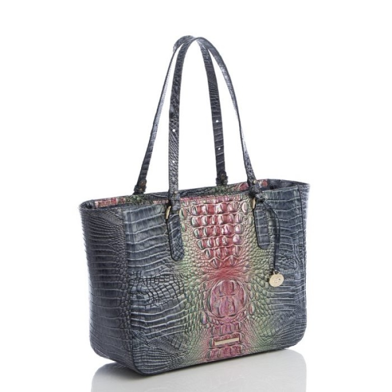 Women's Brahmin Ashlee Tote Bags Radiance Ombre Melbourne | RQIR8039