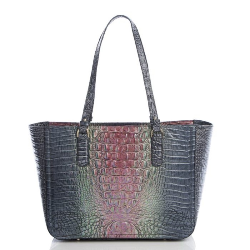 Women's Brahmin Ashlee Tote Bags Radiance Ombre Melbourne | RQIR8039