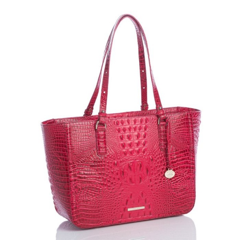 Women's Brahmin Ashlee Tote Bags Sweetheart Ombre Melbourne | WIET4418