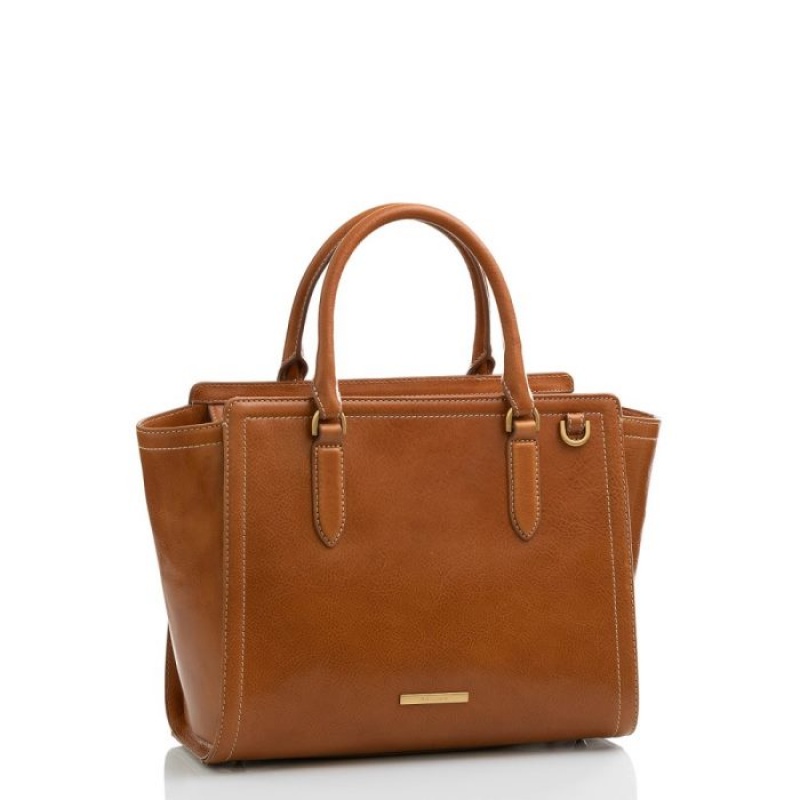 Women's Brahmin Aubree Satchel Bags Caramel Odin | FWMZ7929