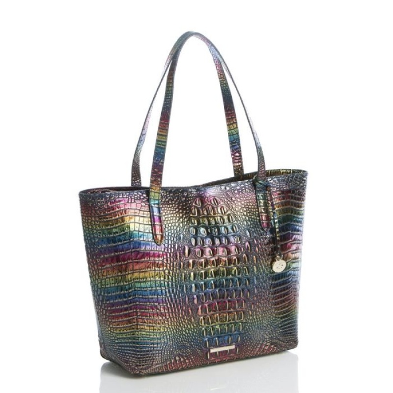 Women's Brahmin Brooke Tote Bags Technicolor Melbourne | HBLC0986