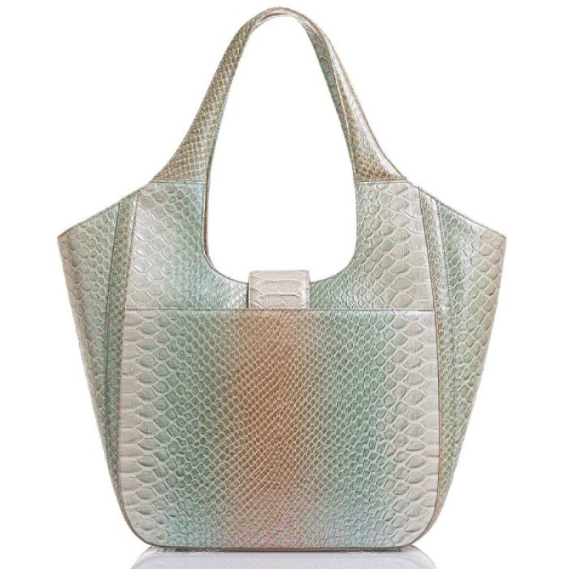 Women's Brahmin Carla Tote Bags Green | CJKC8773