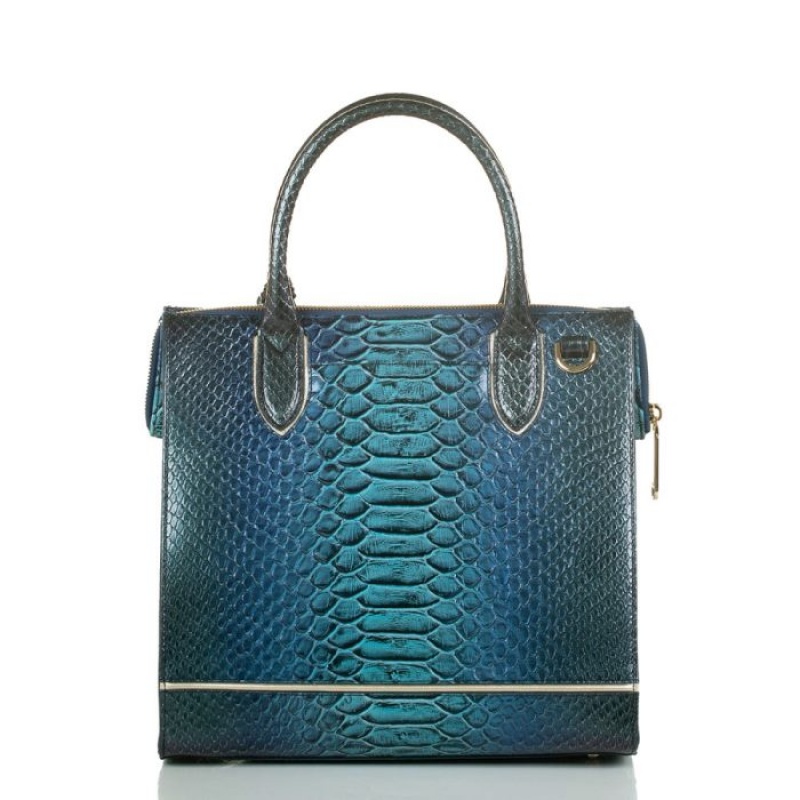 Women's Brahmin Caroline Satchel Bags Blue | MGWG4203