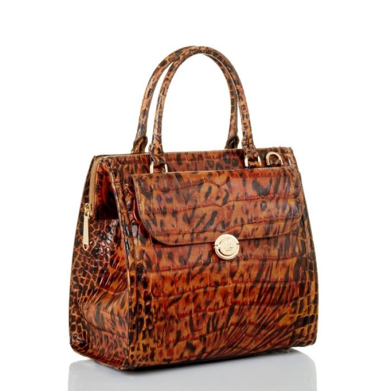 Women's Brahmin Caroline Satchel Bags Brown | KJJT0244