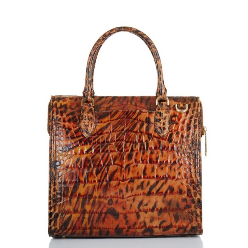 Women's Brahmin Caroline Satchel Bags Brown | KJJT0244