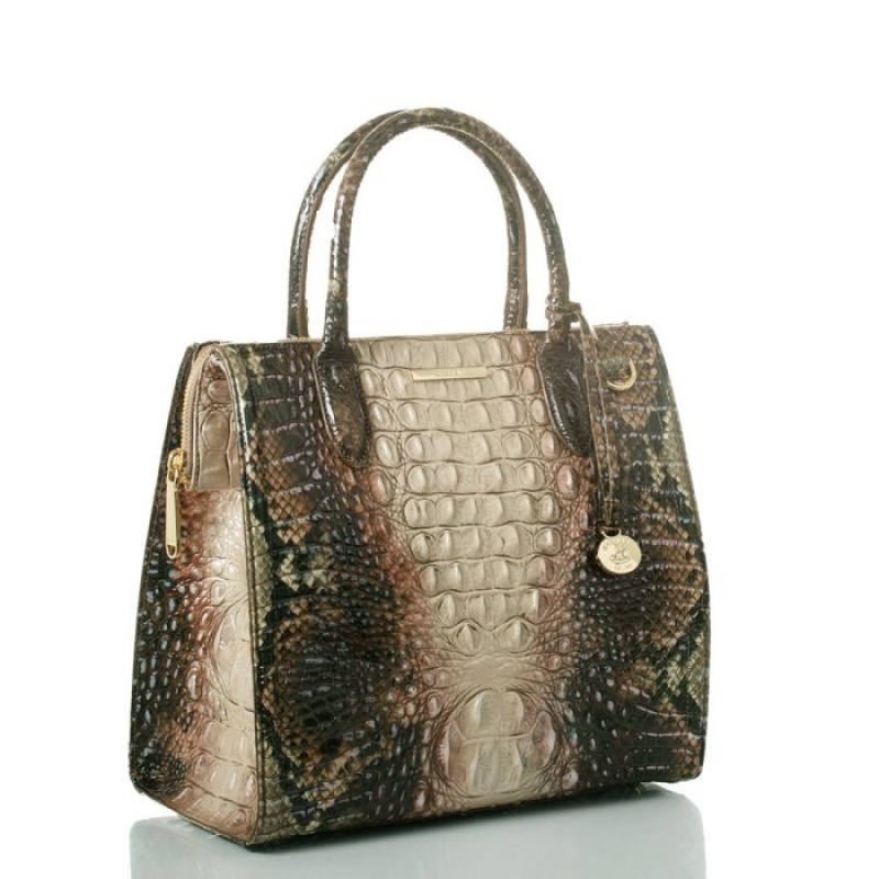 Women's Brahmin Caroline Satchel Bags Diamondback Ombre Melbourne | YFDZ8872