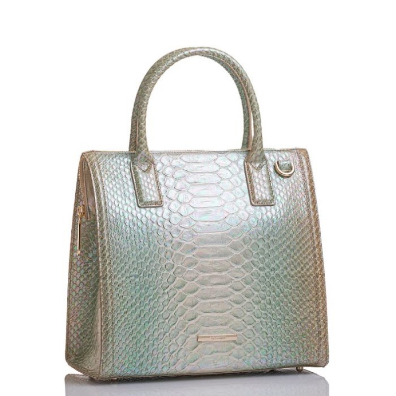 Women's Brahmin Caroline Satchel Bags Grey | GHQH5666