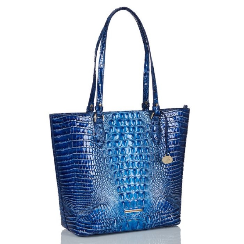 Women's Brahmin Ellen Tote Bags Blue | PDFK6298