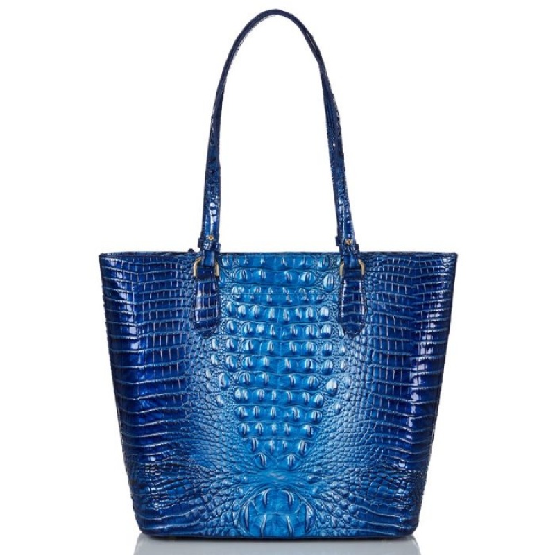 Women's Brahmin Ellen Tote Bags Blue | PDFK6298