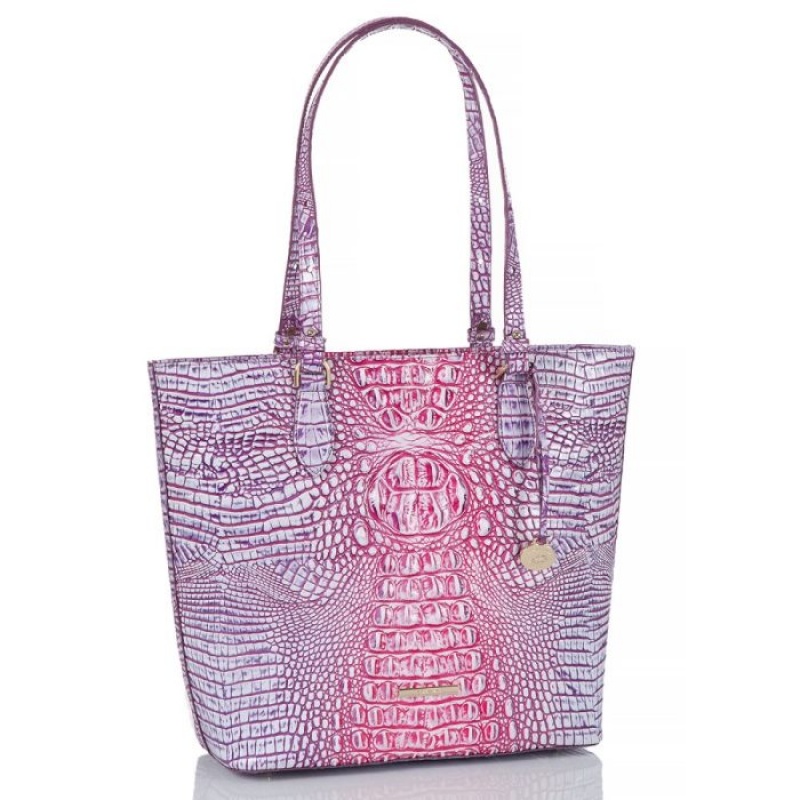 Women's Brahmin Ellen Tote Bags Boysenberry Ombre Melbourne | GWFB6628