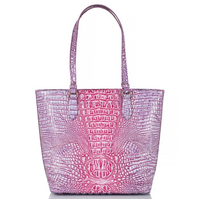 Women's Brahmin Ellen Tote Bags Boysenberry Ombre Melbourne | GWFB6628