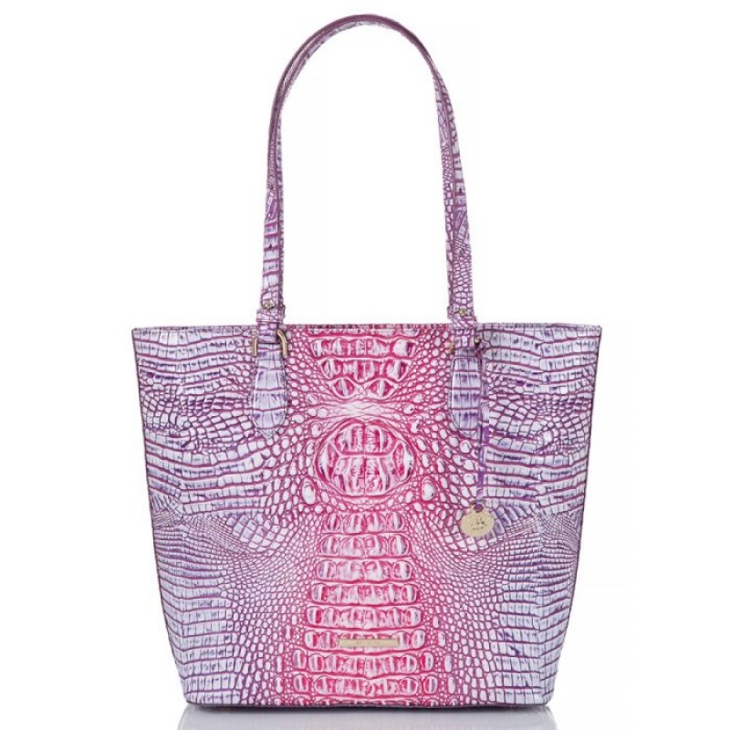 Women\'s Brahmin Ellen Tote Bags Boysenberry Ombre Melbourne | GWFB6628