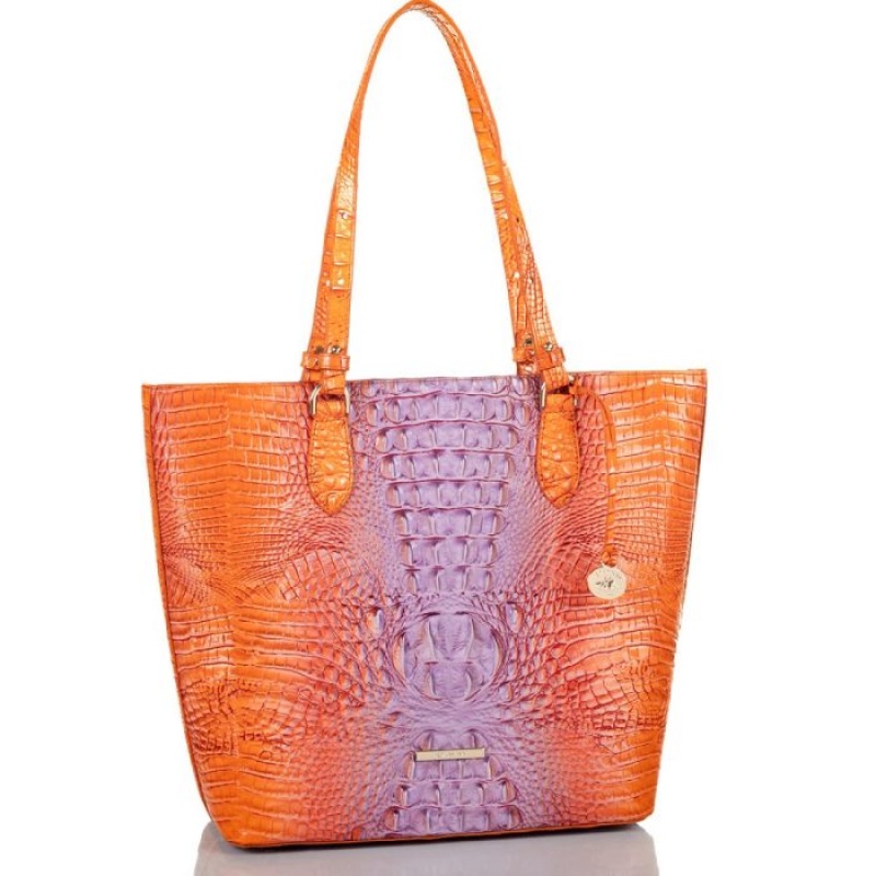 Women's Brahmin Ellen Tote Bags Daiquiri Ombre Melbourne | WZRL7523