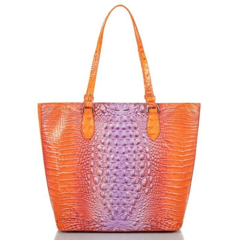 Women's Brahmin Ellen Tote Bags Daiquiri Ombre Melbourne | WZRL7523