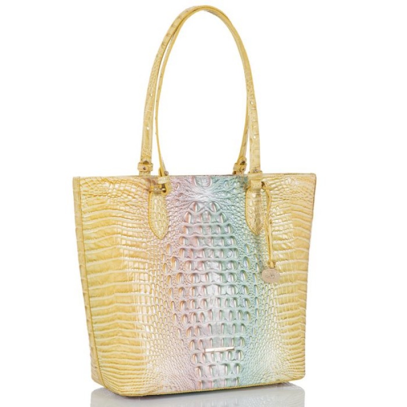 Women's Brahmin Ellen Tote Bags Daybreak Ombre Melbourne | RKOV8527