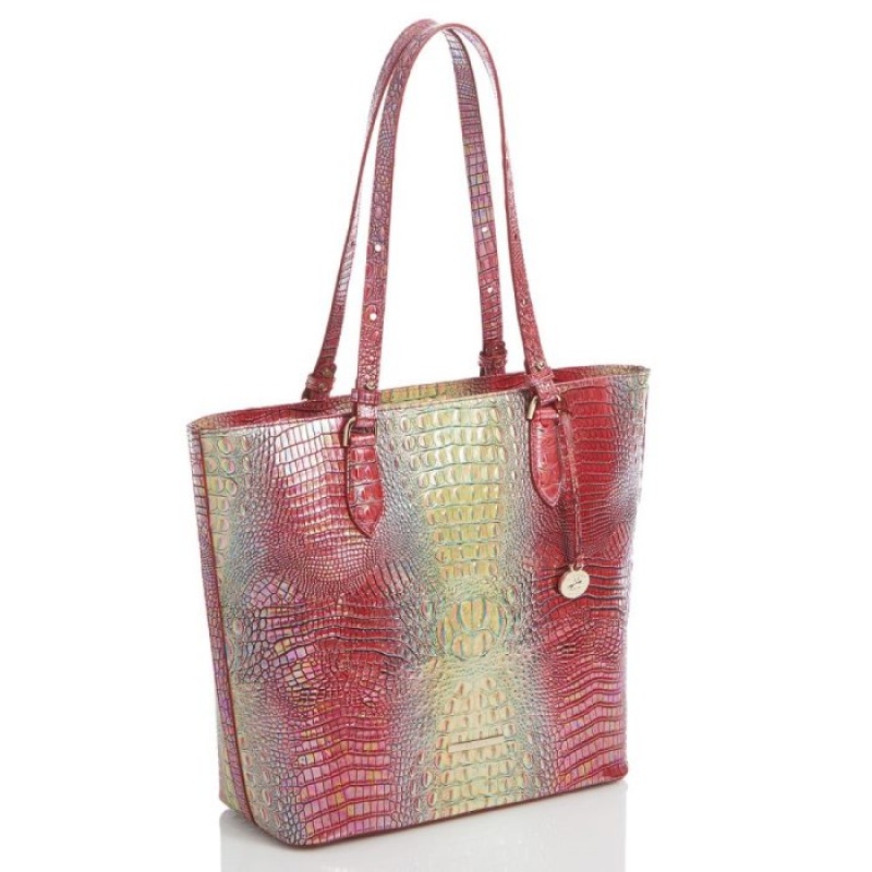 Women's Brahmin Ellen Tote Bags Dragonfruit Ombre Mini Melbourne | FIMI8615