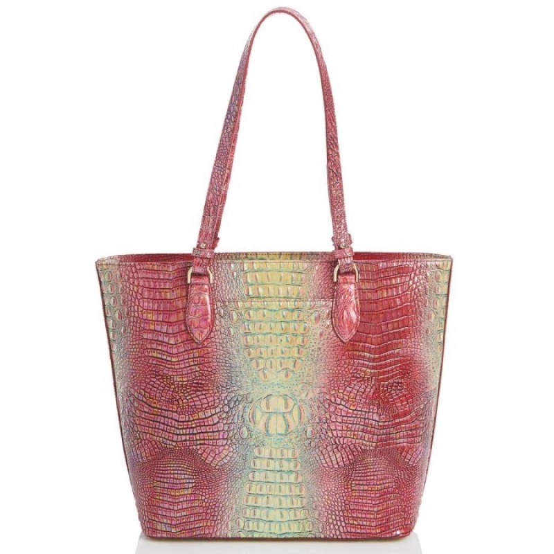 Women's Brahmin Ellen Tote Bags Dragonfruit Ombre Mini Melbourne | FIMI8615