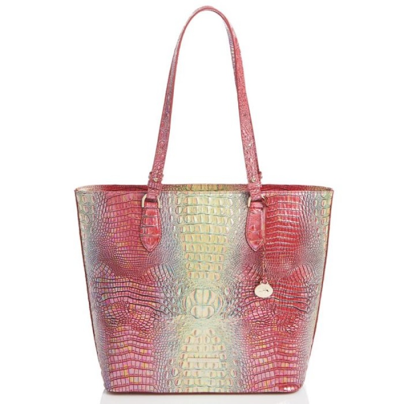 Women\'s Brahmin Ellen Tote Bags Dragonfruit Ombre Mini Melbourne | FIMI8615