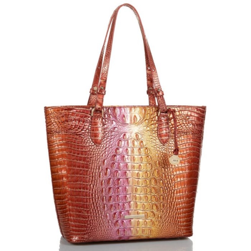 Women's Brahmin Ellen Tote Bags Glam Ombre Melbourne | HAVY5516