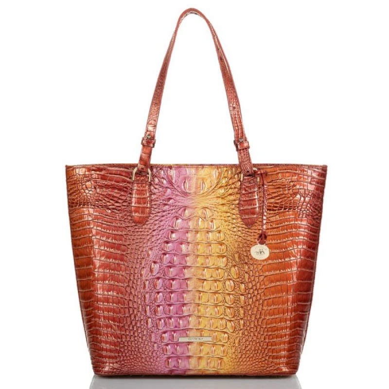 Women\'s Brahmin Ellen Tote Bags Glam Ombre Melbourne | HAVY5516