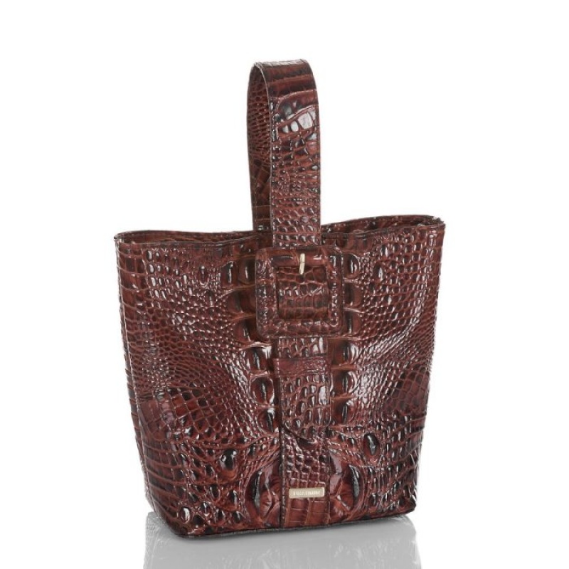 Women's Brahmin Faith Bucket Bags Pecan Melbourne | NAVP4194