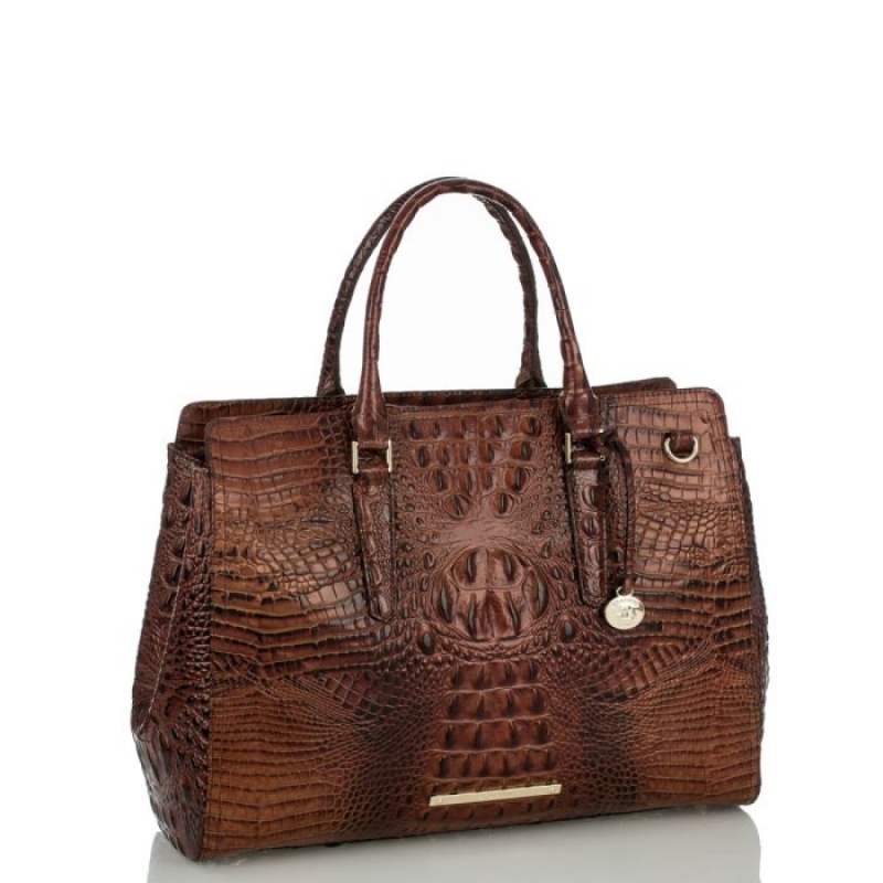 Women's Brahmin Finley Carryall Satchel Bags Pecan Melbourne | RMFS5732