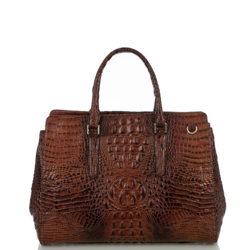 Women's Brahmin Finley Carryall Satchel Bags Pecan Melbourne | RMFS5732