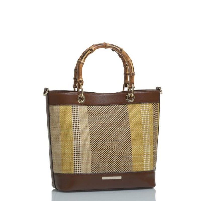 Women's Brahmin Hayden Tote Bags Multicolor | RARR7423