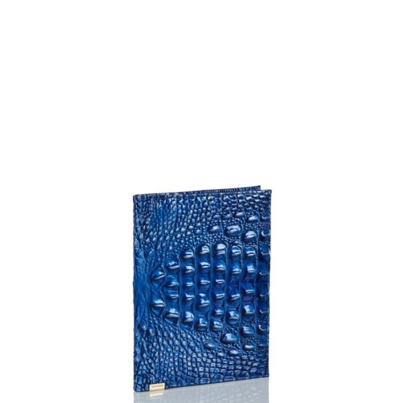 Women's Brahmin Journal Accessories Blue | RGGT5020