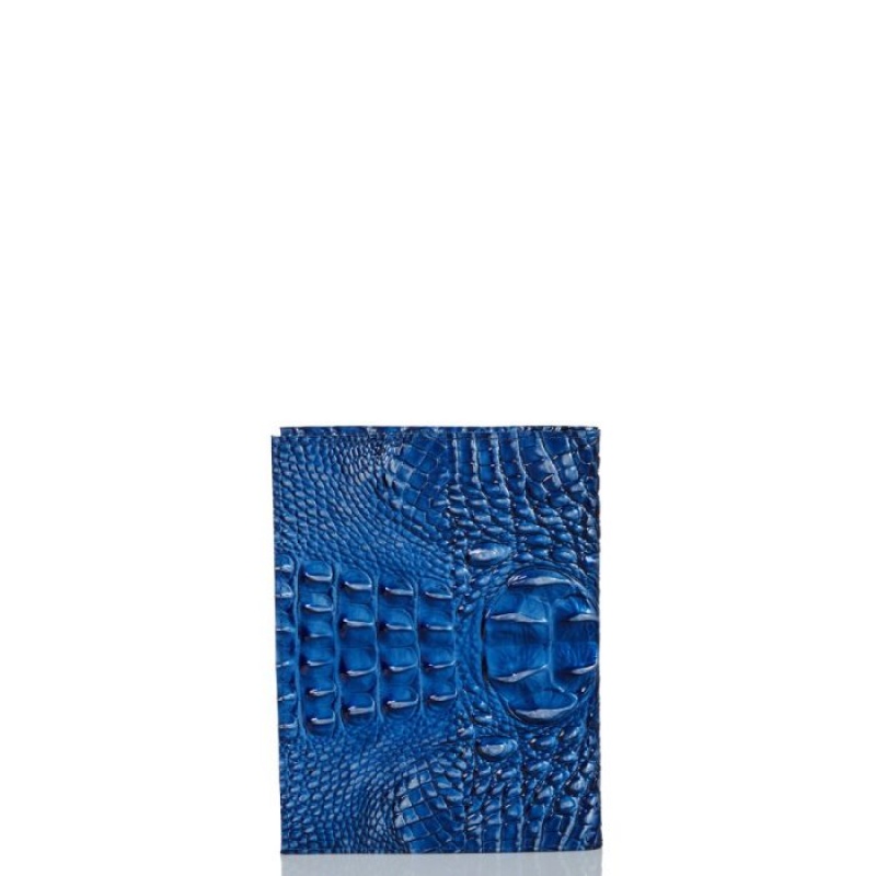 Women's Brahmin Journal Accessories Blue | RGGT5020